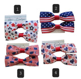 4th of July Piggy Bows Set